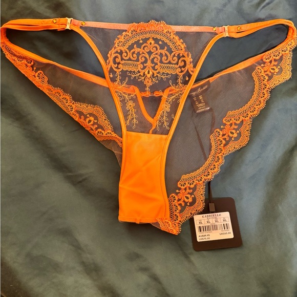 NWT Sold Out Honey Birdette brief - Picture 2 of 6